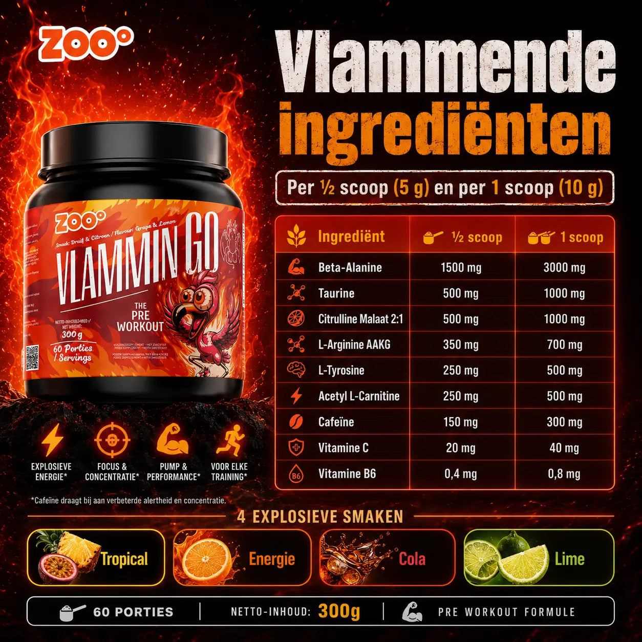 Actieve ingrediënten van VlamminGo® pre-workout met cafeïne, beta-alanine, taurine, L-tyrosine en vitamine B6.