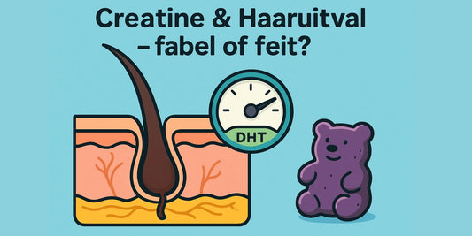 Creatine & haaruitval (2025) – fabel of feit?