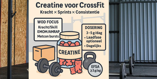 Creatine voor CrossFit (2025): schema’s, dosering & bewijs | ZOOO