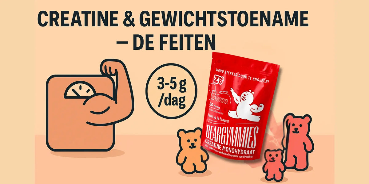 Creatine en gewichtstoename door vocht, spier of vet