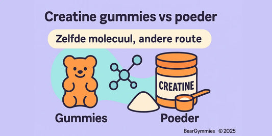 Creatine gummies vs poeder (2025): wat werkt beter? | ZOOO