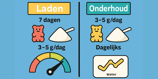 Creatine laden of niet? (2025) – het complete gidsje voor gummies & poeder