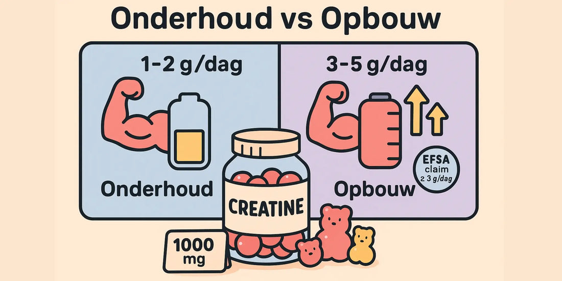 Creatine microdosing (1–2 g/dag): werkt het? (2025) | ZOOO Nutrition