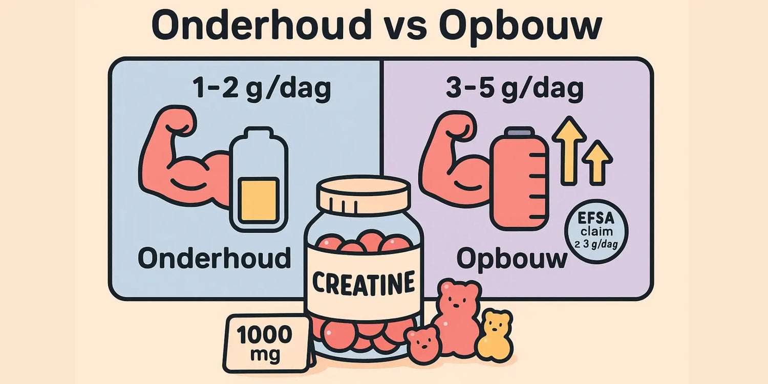 Creatine microdosing (1–2 g/dag): werkt het? (2025) | ZOOO Nutrition