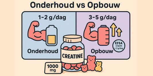 Creatine microdosing (1–2 g/dag): werkt het? (2025) | ZOOO Nutrition