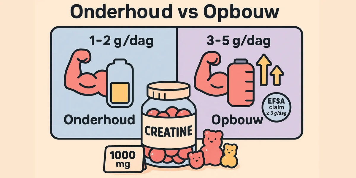 Creatine microdosing met één tot twee gummies per dag