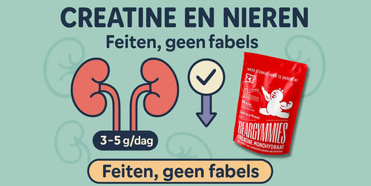 Creatine en nieren (2025): feiten, veiligheid & labtests | ZOOO