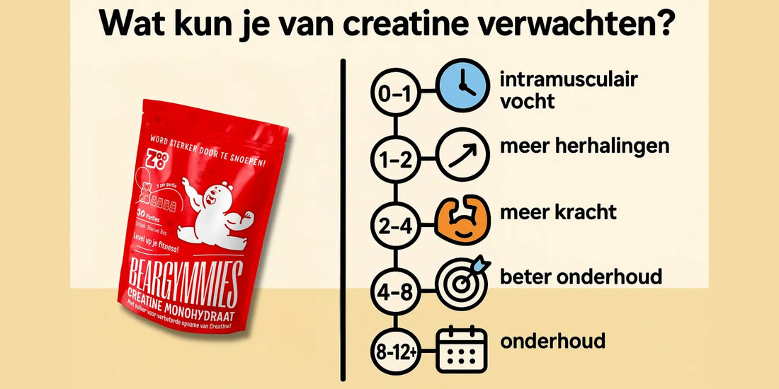 Wat kun je van creatine verwachten? (2025) | ZOOO