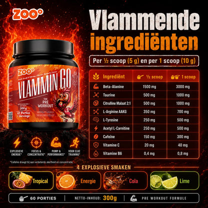Actieve ingrediënten van VlamminGo® pre-workout met cafeïne, beta-alanine, taurine, L-tyrosine en vitamine B6.
